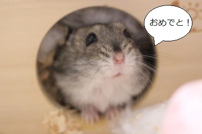 入園５