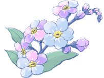 ワスレナグサ 勿忘草 季節の花