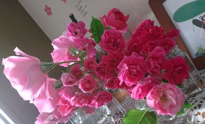 家の中の朝のバラたち