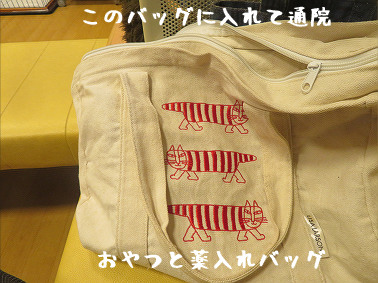 bag20200808.jpg