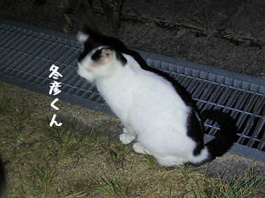 fuyuhiko20200915.jpg