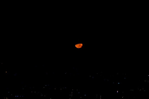 赤い上弦の月