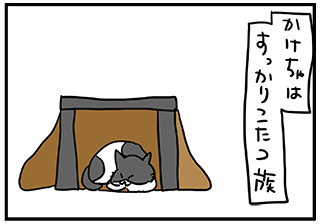 hito0.jpg