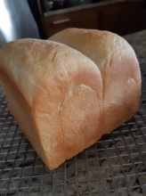 bread 1 489x365