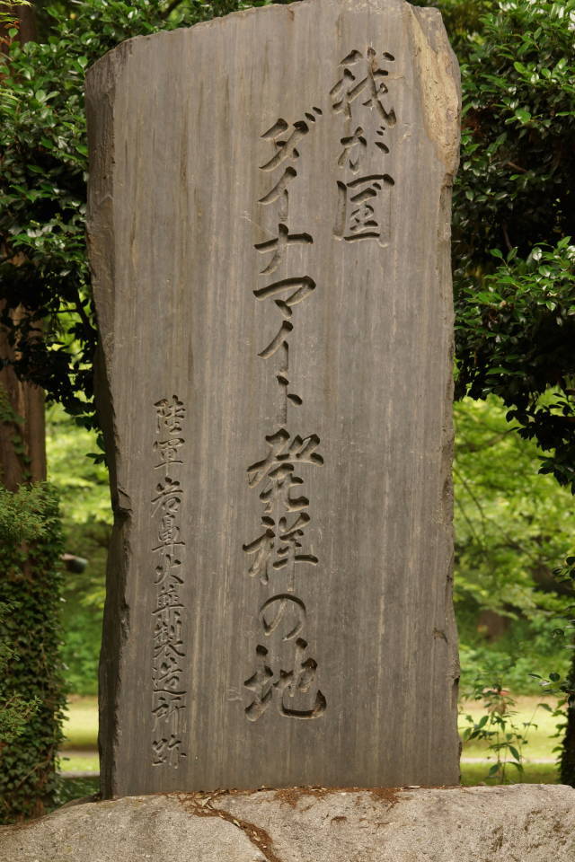DSC06400.jpg